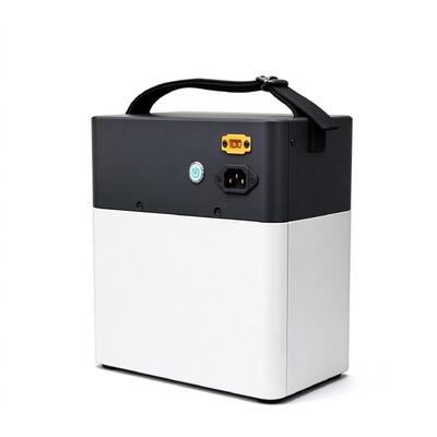품질 Portable LiFePO4 Energy Storage Power Station 500W Pure Sine Wave Off Grid Solar Backup Power Supply 1kWh Capacity With Built In MPPT Charger For Home Emergency Field Use 공장