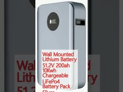 벽에 장착된 리?? 배터리 51.2V 200ah 10Kwh 충전 가능한 LiFePo4 배터리 팩 슬리버