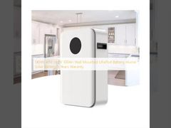 5KWh 48V 51.2V 100Ah 벽에 장착 된 LiFePo4 배터리 가정용 태양 전지 5 년 보증